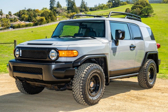 Fj cruiser