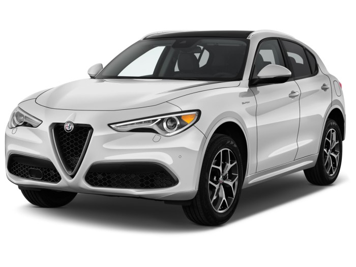 Stelvio romeo veloce carexpert exterior