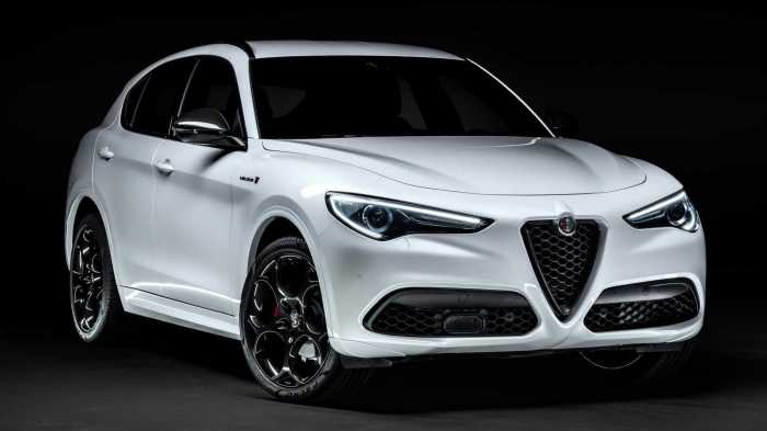 Alfa romeo 2021 stelvio car