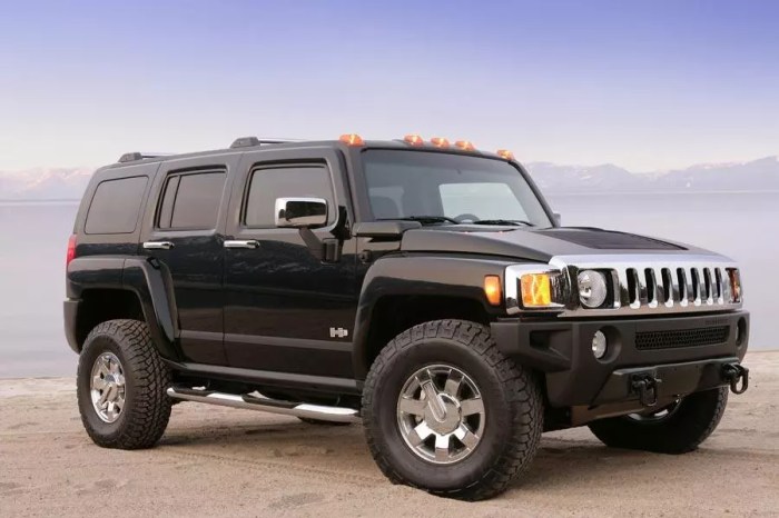 2006 Hummer H3