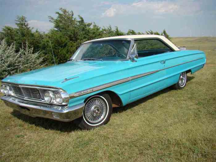 Galaxie consumerguide whatever paint