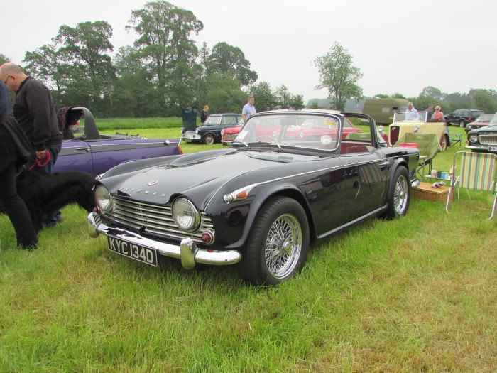 1954 Triumph TR4A: A British Sports Car Icon