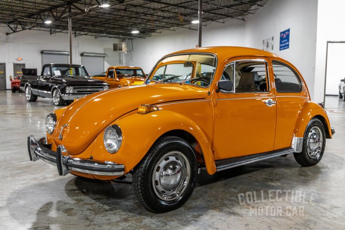 Beetle kasan 1786 manua 1585