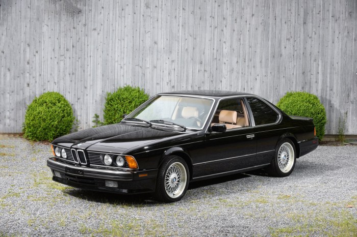 1989 BMW 635Csi