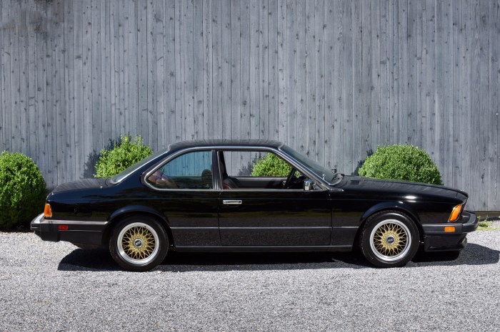Bmw 635 csi 635csi 1985 print ny Bmw 635 csi 635csi 1985 print ny