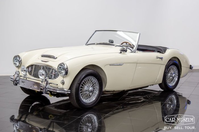 1959 healey muted