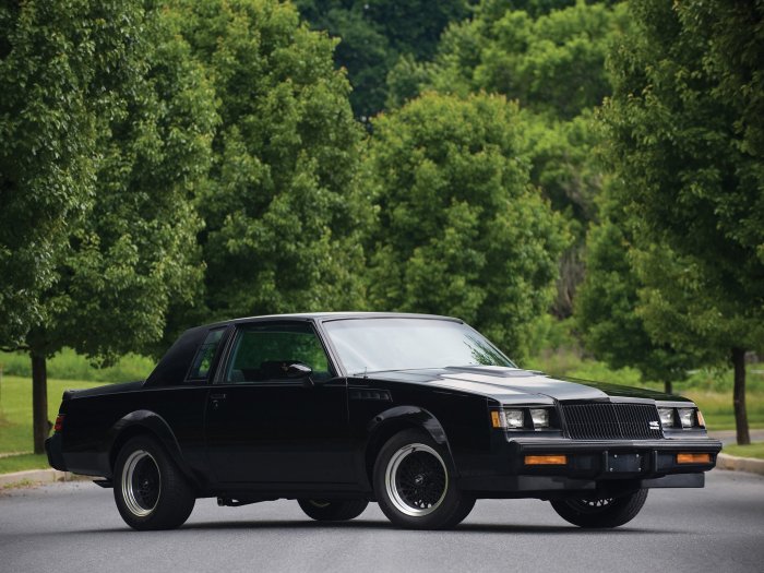 Buick gnx regal j47 1982 virtualtuning