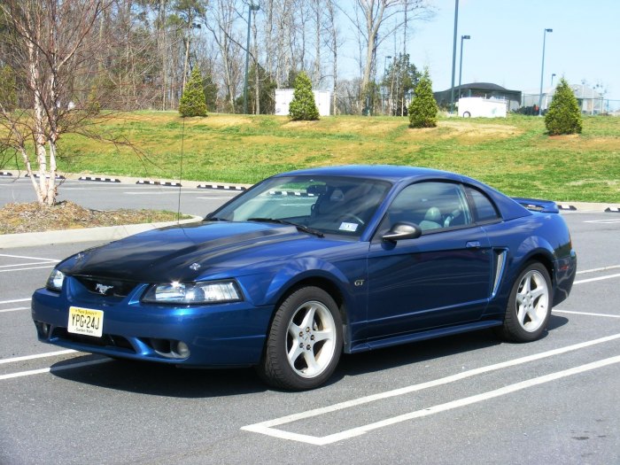 Mustang numbers atlantic mustangspecs
