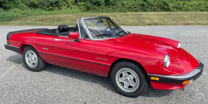 Alfa 1986 romeo spider dealer info back
