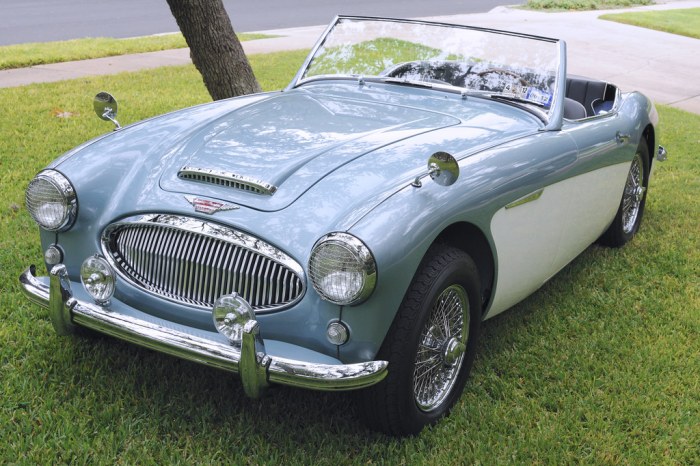 1961 bt7 brunswick healey