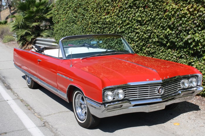 Buick electra 225 vault