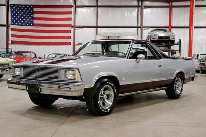 Camino el 1980 chevrolet sale car