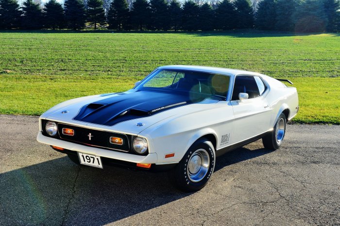 1971 mustang mach ford thelastdetail