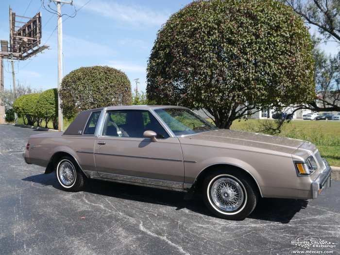 Buick 1984 regal unwrapped lowrider