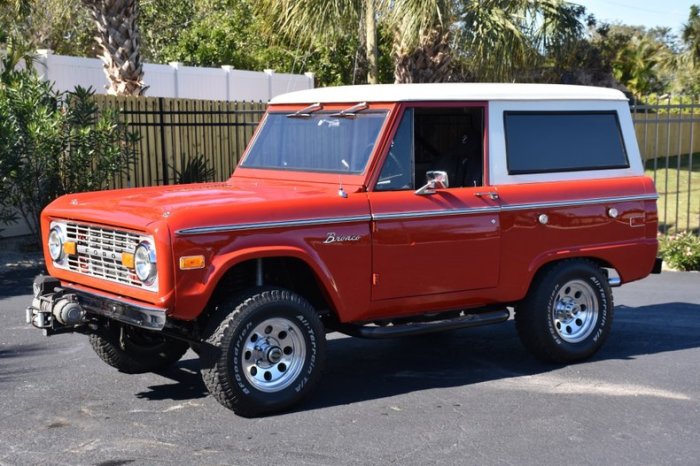 Bronco 1974 offered vin