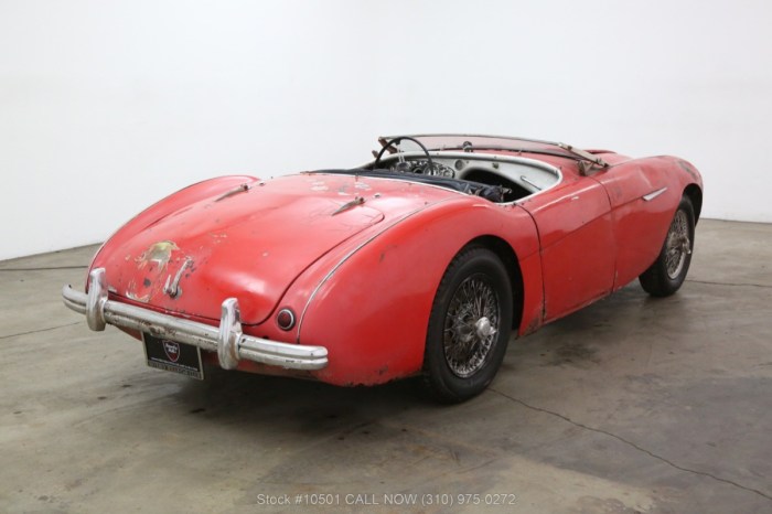 Healey 100m 1956