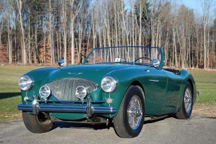 Austin healey 1954 100 sale bat