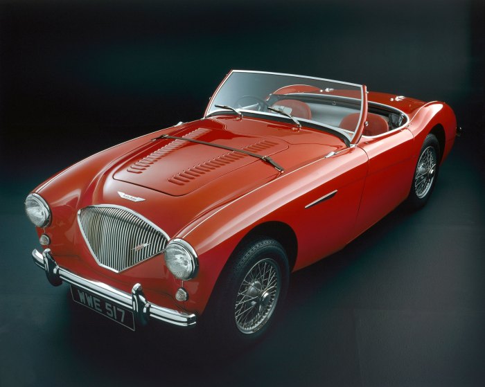 1956 Austin-Healey 100M