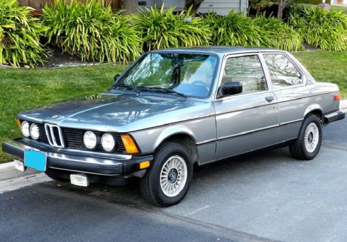 1982 BMW 3 Series: A Classic Reborn