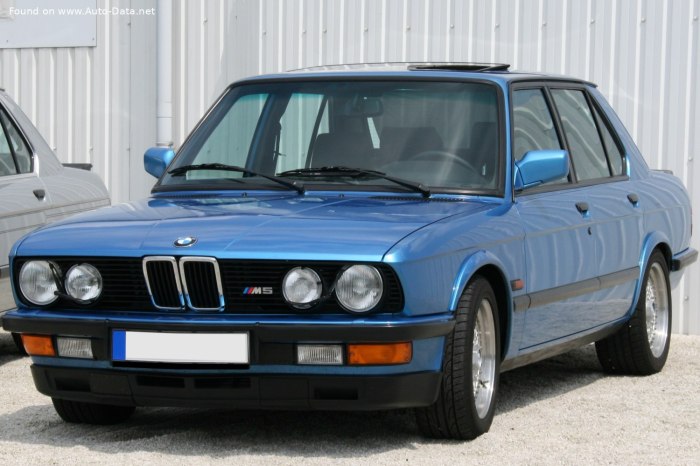 M5 e28 races