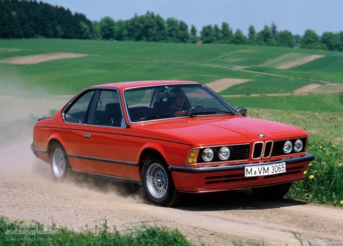 1983 BMW E24