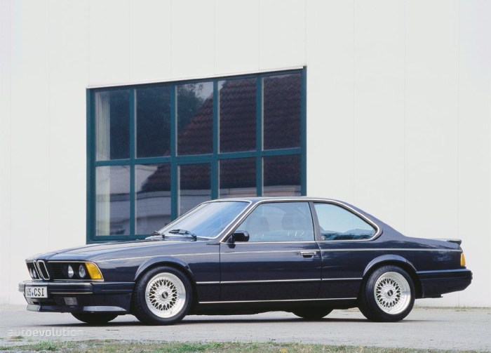 Csi e24 635 m635 1984 autoevolution