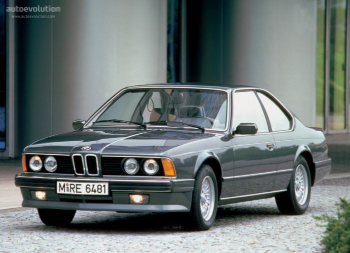 1983 BMW E24: A Timeless Classic
