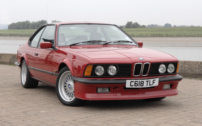 Bmw e34 1989 525i series sale