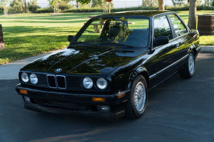 Bmw 325i 1989 speed sale bat