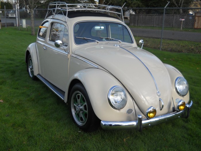 1958 beetle volkswagen evolution production year
