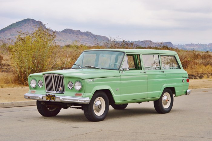 Wagoneer 1965 rhino v8 gladiator vigilante grille collector