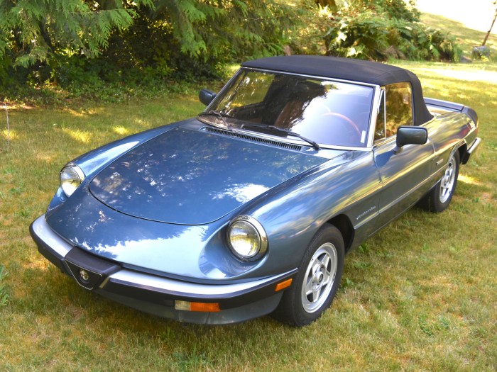 Romeo alfa 1986 spider veloce res high