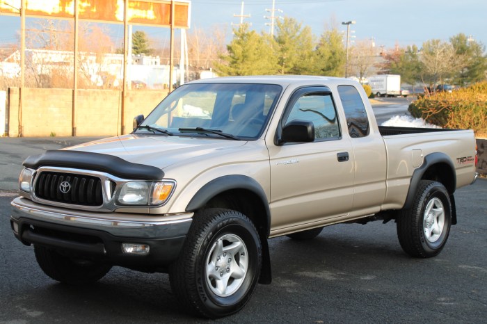 2004 Toyota Tacoma