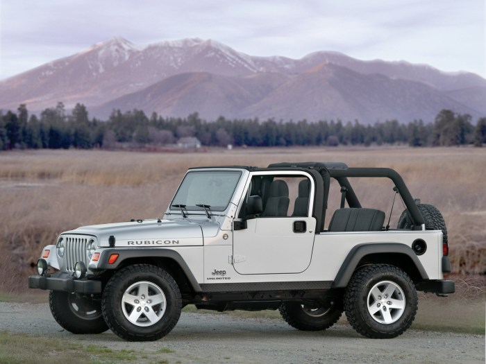 Wrangler rubicon bat