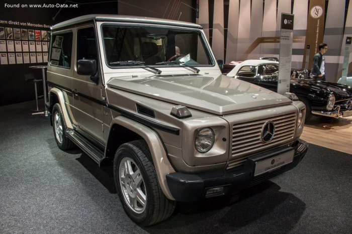 1992 Mercedes-Benz G-Class