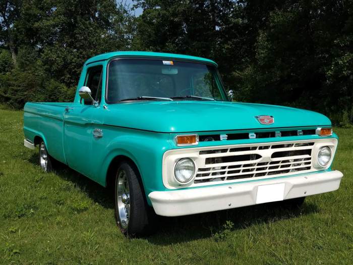 Ford f100 1965 pick