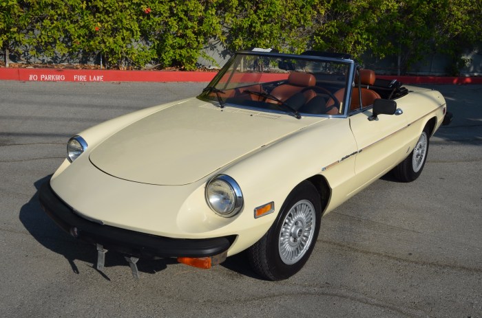 1979 Alfa Romeo Spider