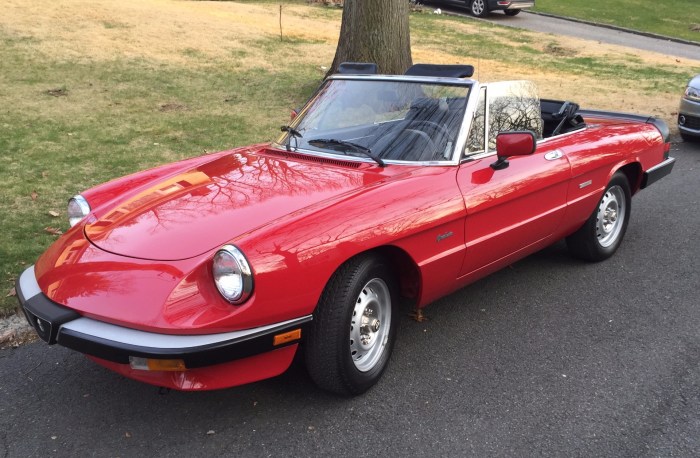 1988 Alfa Romeo Spider