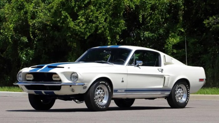 Gt500 shelby colors anciennes voitures covid tweet mustangspecs