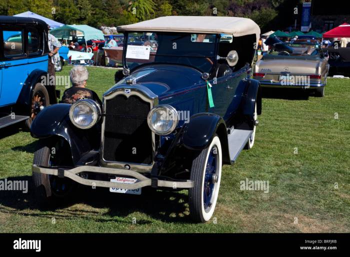 Buick 1924 touring car model fantastic sports vintage sale 4s