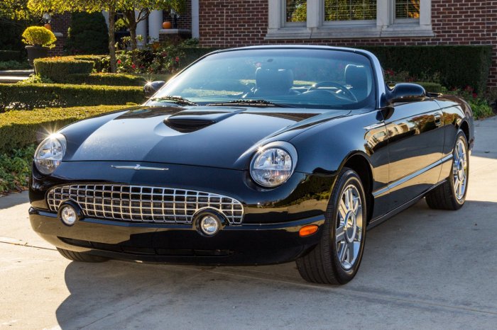 2005 Ford Thunderbird