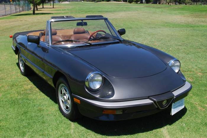 1984 Alfa Romeo Spider