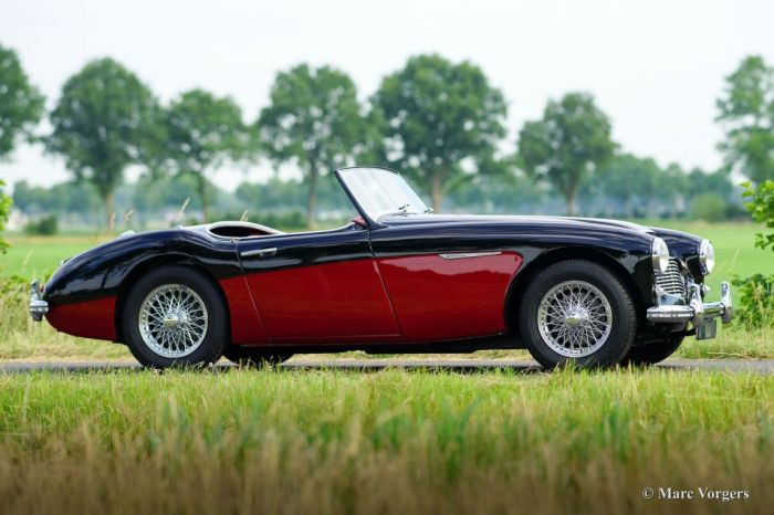 1959 Austin-Healey 3000 Mark I