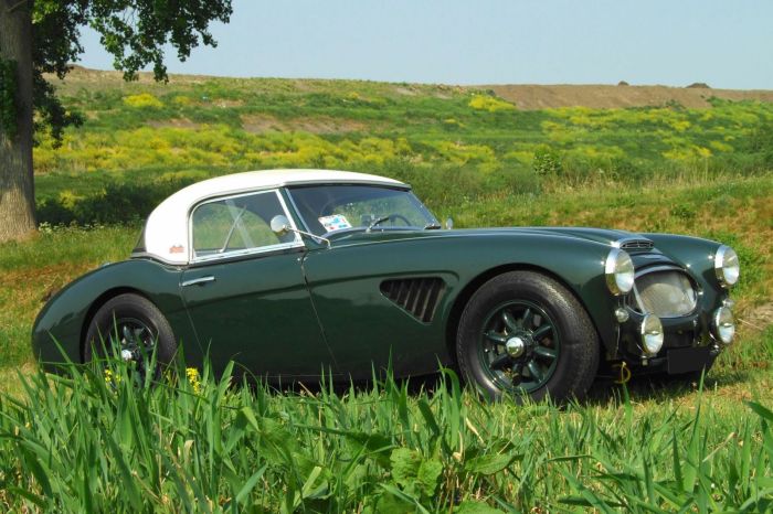 1959 Austin-Healey 100-6