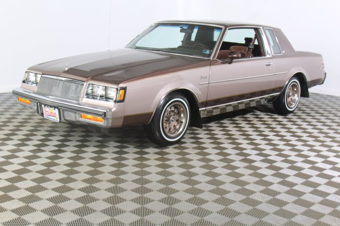 1984 Buick Regal