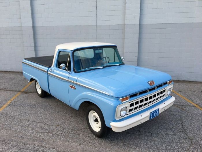 1965 Ford F100