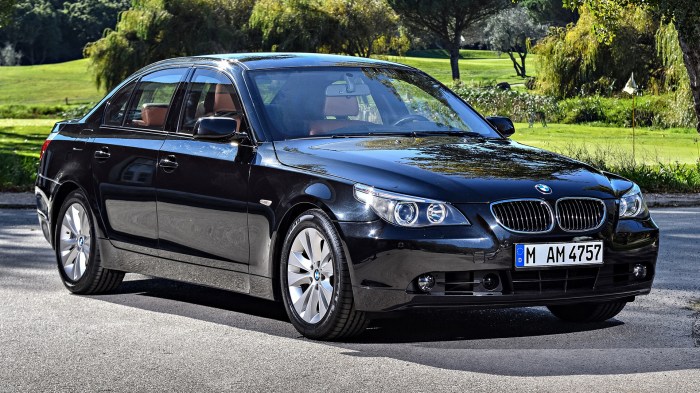 Bmw series 2003 2003 BMW 5 Series