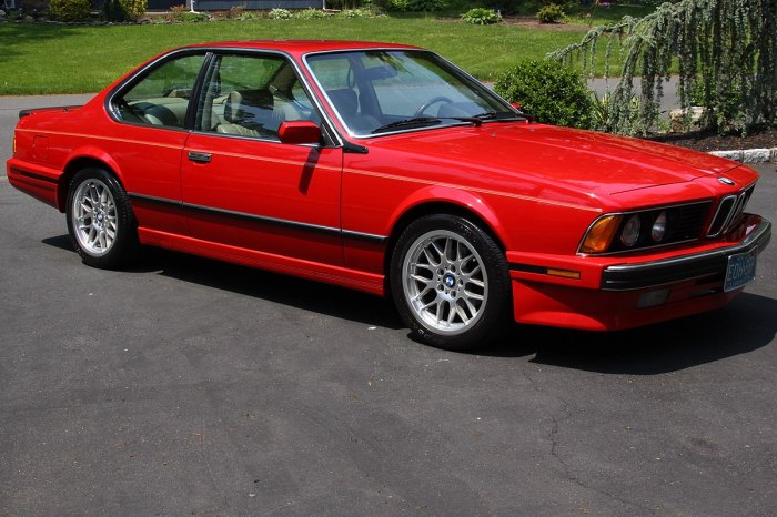Bmw e24 m6 coupe 635i 1983 e28 series 1989 cars ever there csi 535i generation first 1976 gasoline presented germany