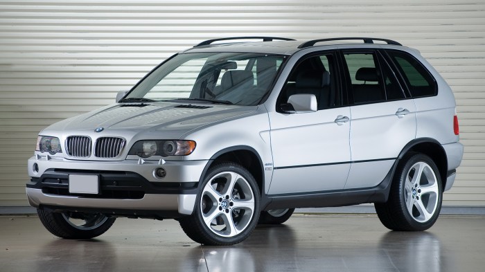 X5 bmw 2002 sport