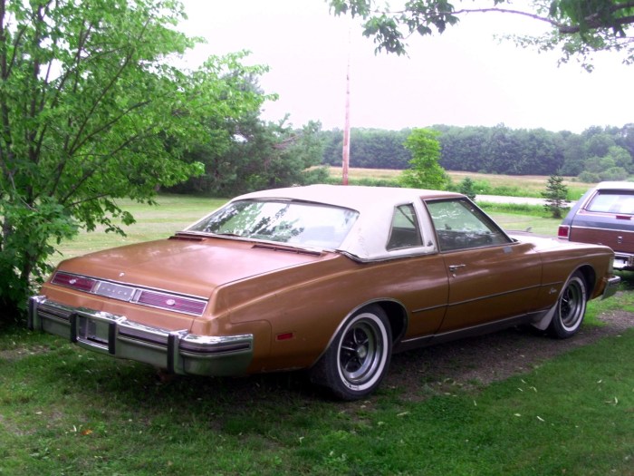 Buick 1975 riviera cars momentcar cargurus